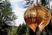 Photo of Ресторан на дереве в Новой Зеландии